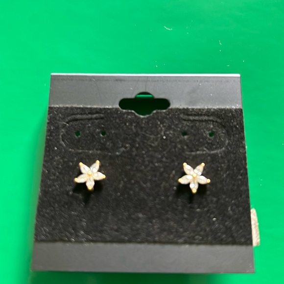 Jewelry - 14 k gold plated earrings